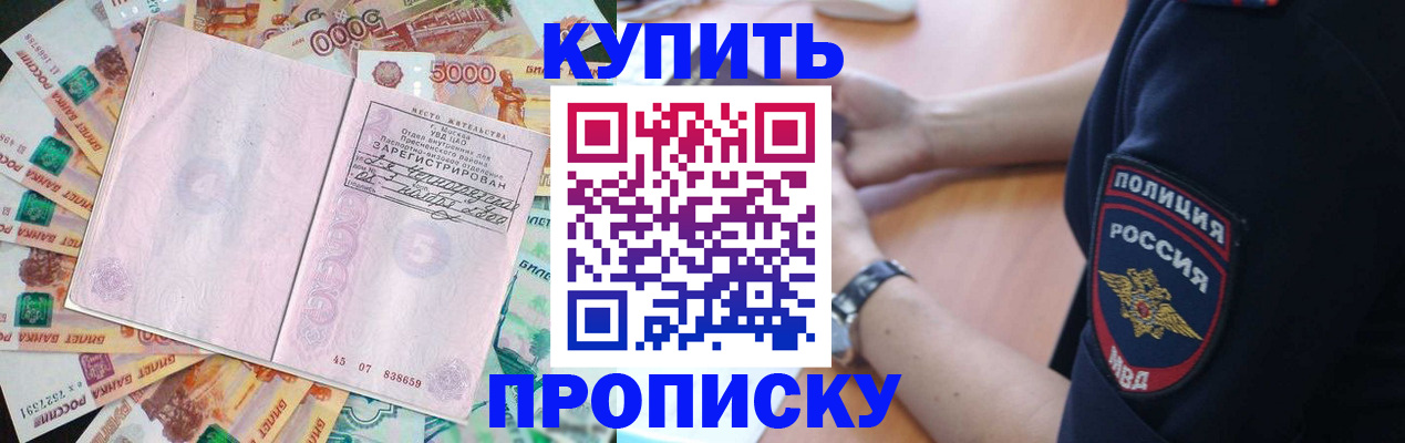 временная регистрация поиск в Мончегорске